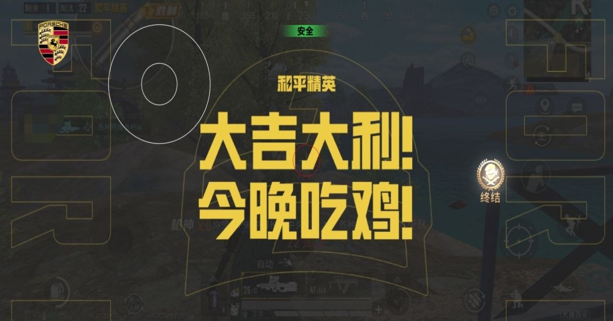 和平精英诗蕊辅助-和平国服直装骨骼显距绘制助手