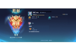 王者荣耀大云辅助器-王者手游共享绘制驱动版开挂助手