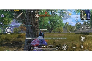 和平精英小迷糊内核-和平精英透视显血防封科技